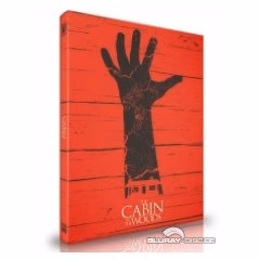 The Cabin in the Woods · Birnenblatt Home Video · Cover C