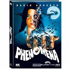 Phenomena · XT Video · Cover C