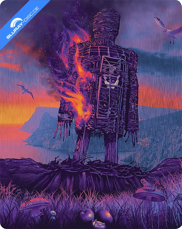 The Wicker Man · StudioCanal · 50th Anniversary Limited Steelbook Edition (UK-Import)