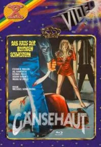Gänsehaut – The Haunted House of Horror · X-Rated · Cover E