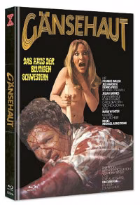 Gänsehaut – The Haunted House of Horror · X-Rated · Cover B