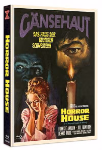 Gänsehaut – The Haunted House of Horror · X-Rated · Cover C