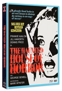 Gänsehaut – The Haunted House of Horror · X-Rated · Cover D
