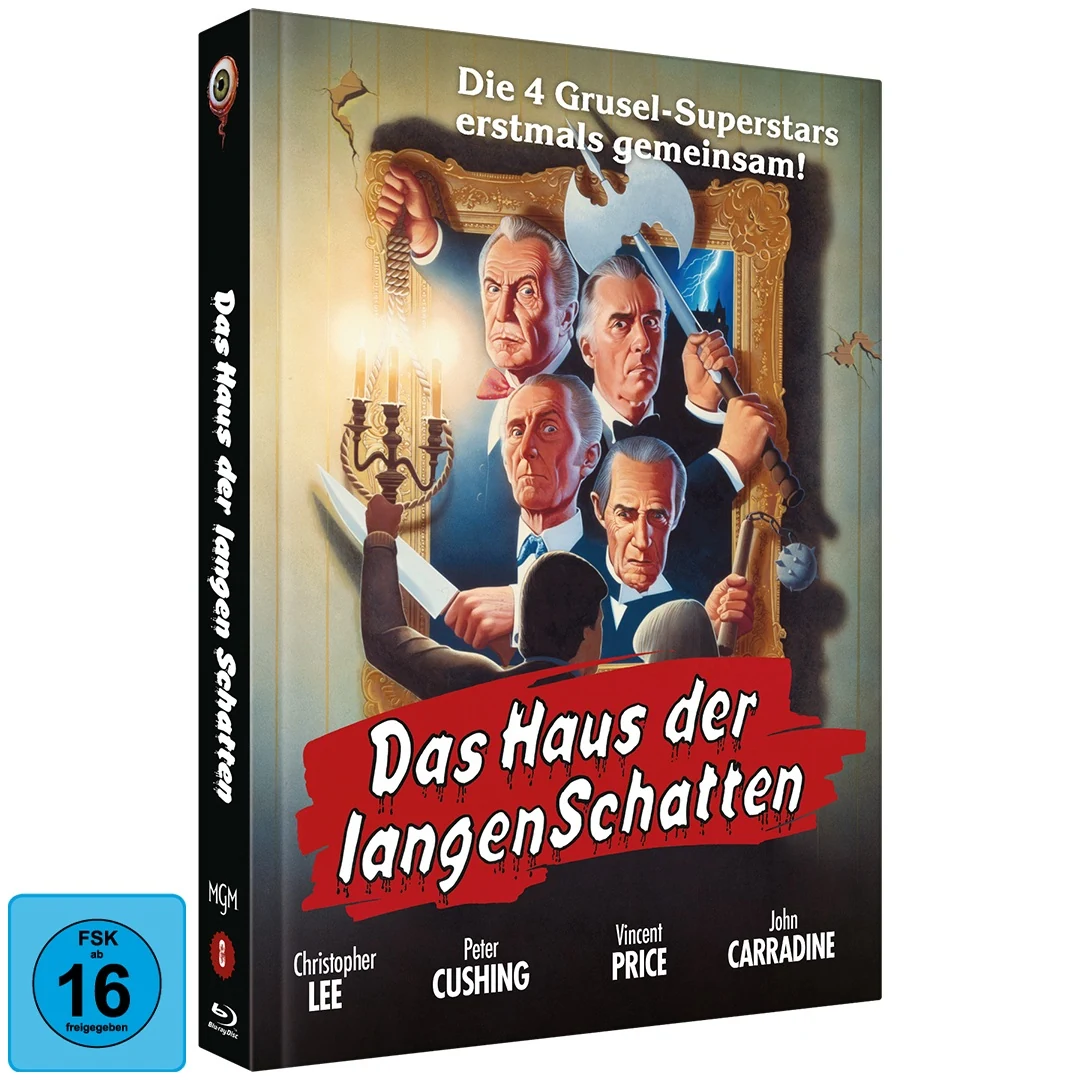Das Haus der langen Schatten · Wicked Vision · Cover A