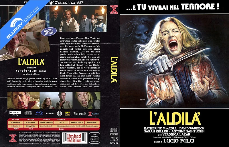 Die Geisterstadt der Zombies / Über dem Jenseits · X-Rated · Cover H